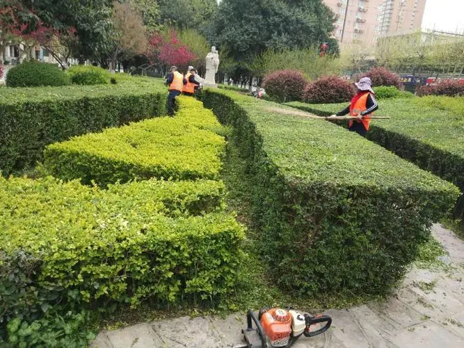 社区怎样规划绿化工程管理